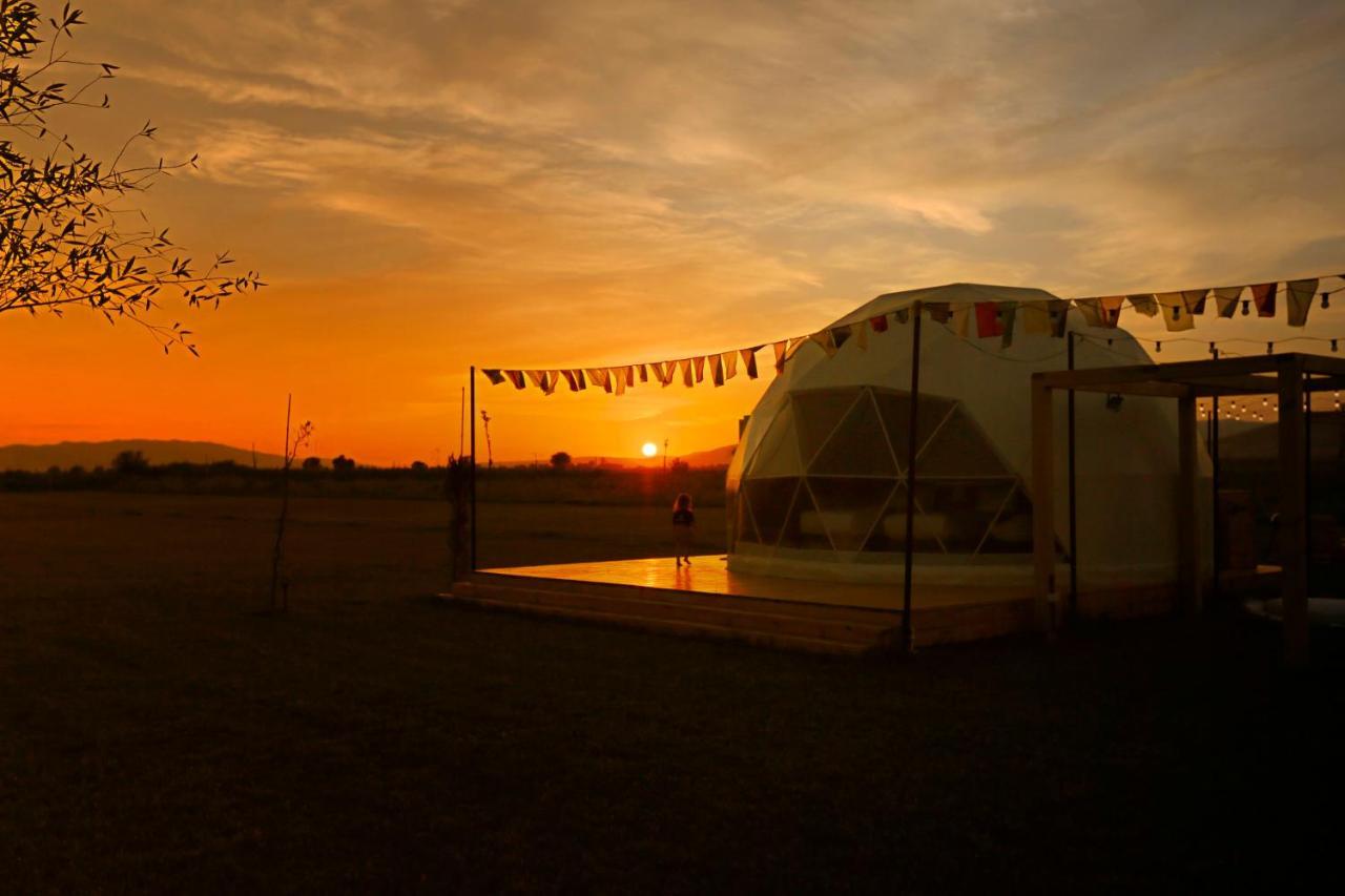 Jewelberry Glamping Hotel Tbilisi Mtskheta Exterior photo